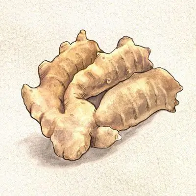 Рецепт куриного карри - Рецепт куриного карри от Люси Ваверман