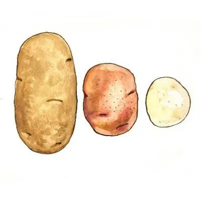 Пьероги Кростини с двумя начинками - Рецепты закусок - Рецепты закусок - Рецепты с грибами