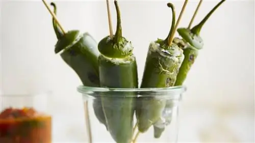 Фаршированные перцы с сыром и сальсой Фаршированные перцы с сыром и сальсой