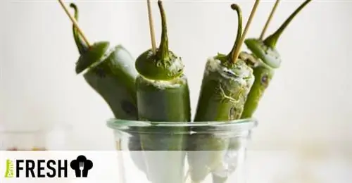 Фаршированный перец с сыром и сальсой