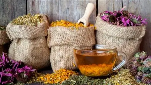 Остановить весеннюю усталость