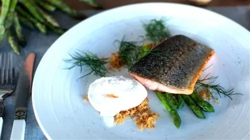 Станьте домашним поваром