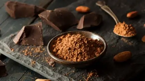 Шоколад для аллергиков