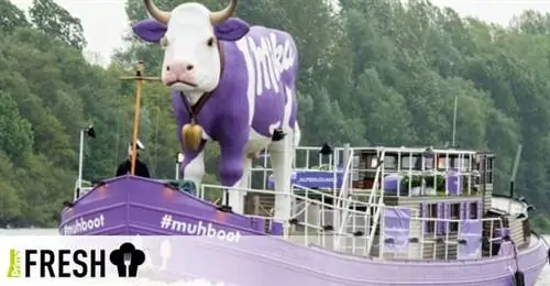 Оригинальный корабль Milka впервые в Чехии