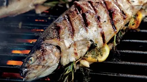 Форель на гриле, фаршированная лимоном и зеленью