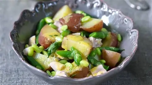 Французский картофельный салат с курицей