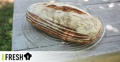 5 основных шагов к домашнему хлебу на закваске