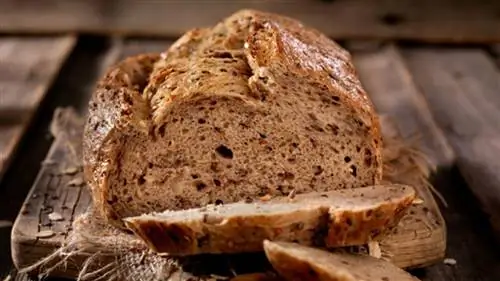 Как распознать цельнозерновой хлеб и чем отличаются основные виды хлеба