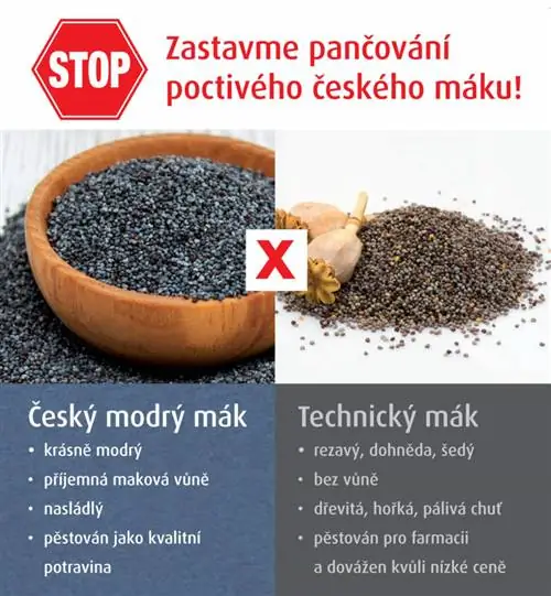 Как распознать качественный чешский мак? Как распознать качественный чешский мак?