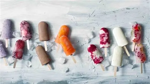 7 рецептов вкусного домашнего мороженого 7 рецептов вкусного домашнего мороженого
