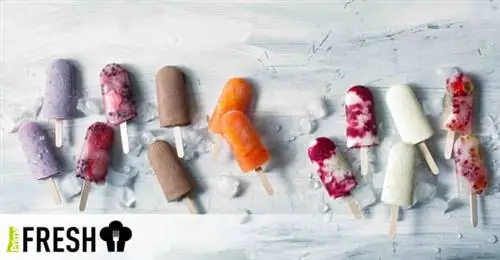 Лето на палочке или 7 рецептов вкусного домашнего фруктового мороженого
