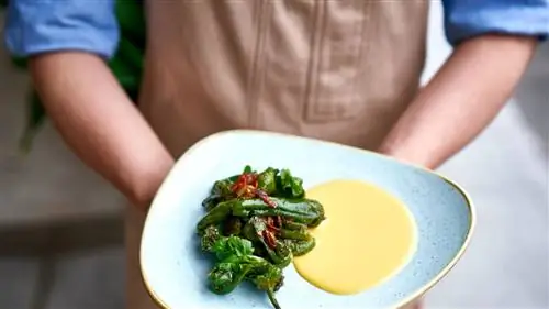 Перец падрон с чоризо и соусом из чеддера по рецепту Марека Шады