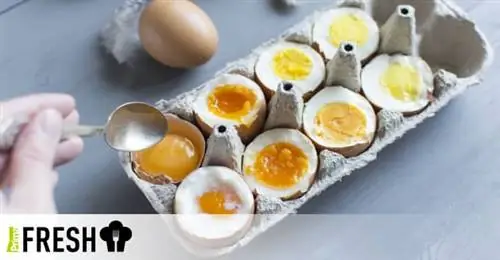 Сваренные вкрутую, всмятку или тухлые яйца: Как их приготовить, чтобы они каждый раз получались идеально