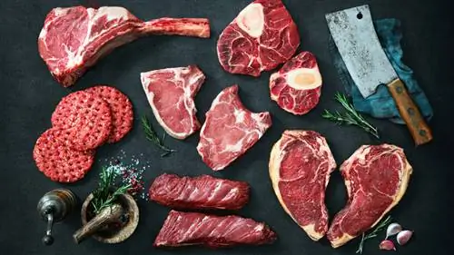 Выбор разных видов говядины для кухонной обработки