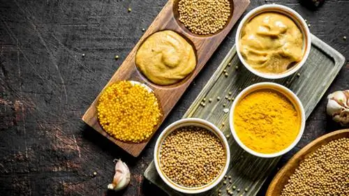 Вы можете приправить домашнюю горчицу по своему вкусу