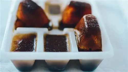 Используйте оставшийся замороженный кофе для приготовления кофе со льдом