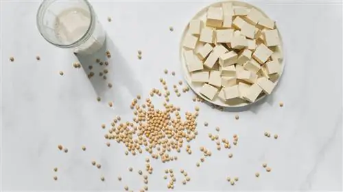 У вас есть проблемы с соей? Вместо этого попробуйте ферментированные