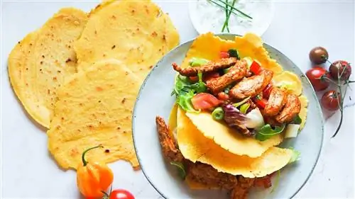 Домашние кукурузные лепешки с курицей и томатной сальсой