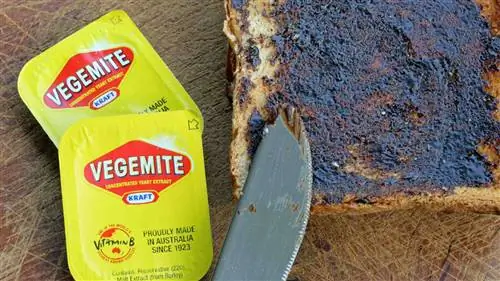 Дрожжевой спред Vegemite предназначен только для ценителей