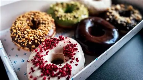 Donuter Donuts воплощает в жизнь большую порцию сладкого искушения