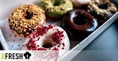 Donuter Donuts приносит в жизнь большую порцию сладкого искушения