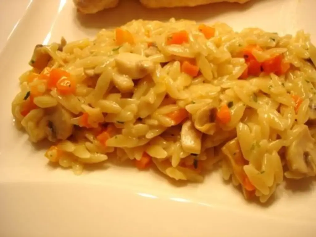 Пастасотто с грибами и греческой рисовой лапшой Критараки