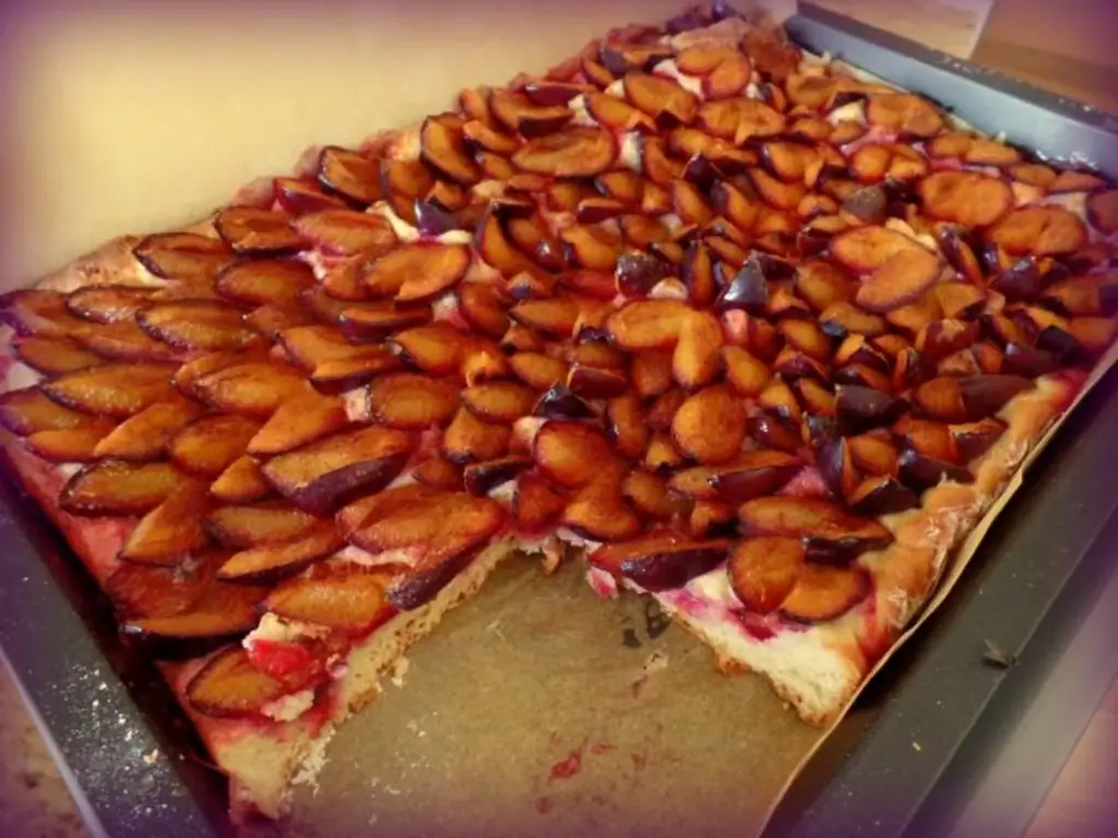 Plum Datchi с термомиксом