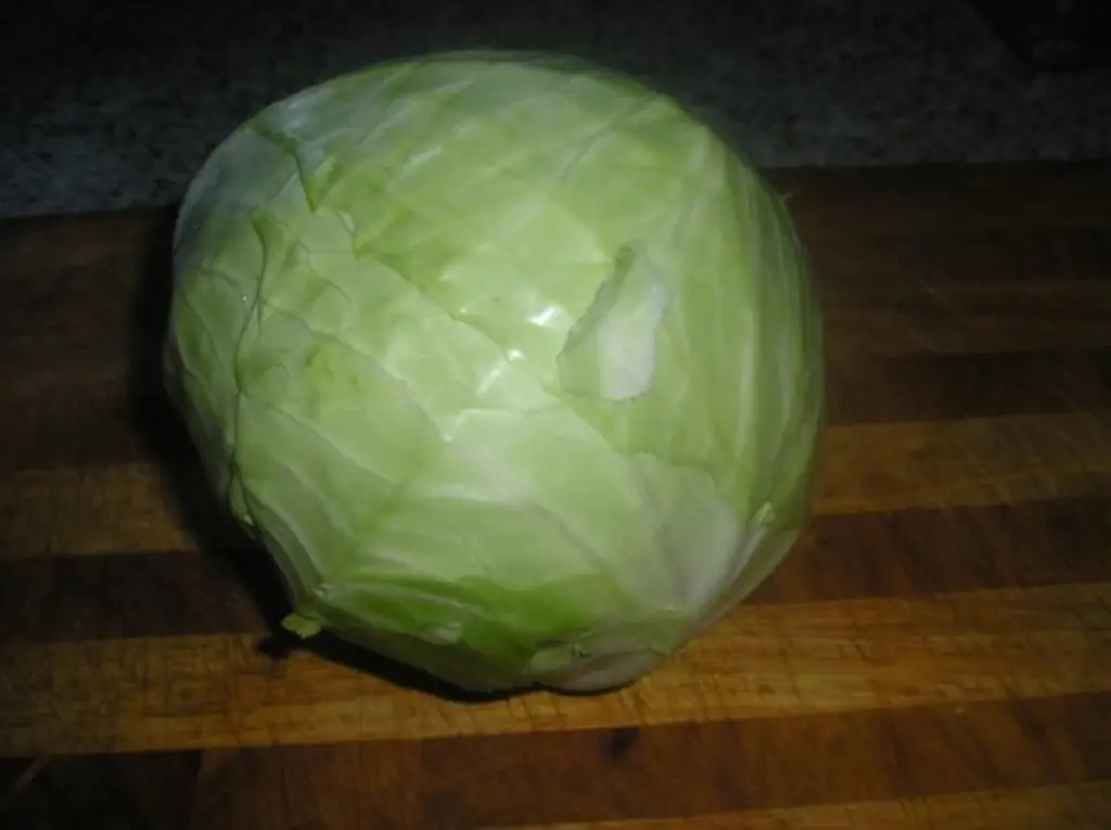 Порная капуста с белокочанной капустой (белокочанная капуста)