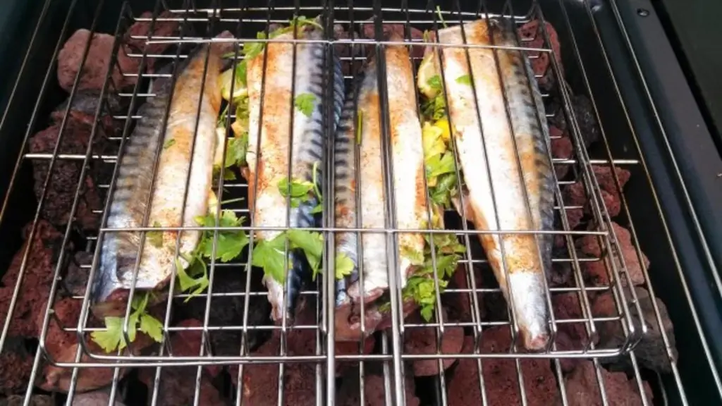 Скумбрия на лавовых камнях