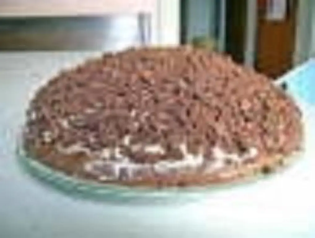 Кротовый пирог с яйцами и маслом или маргарином