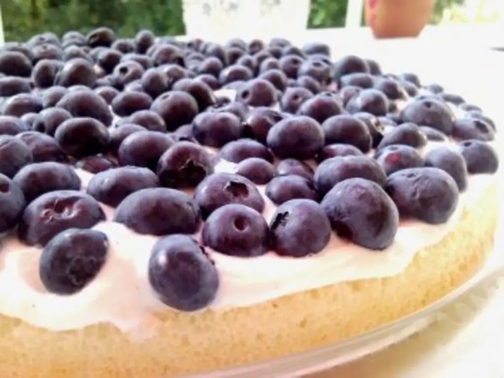 Фруктовый торт Идеален для лета. Каждый раз разные фрукты, всегда вкусные