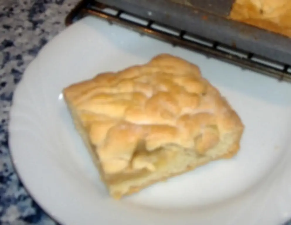 Закрытый яблочный пирог из формы