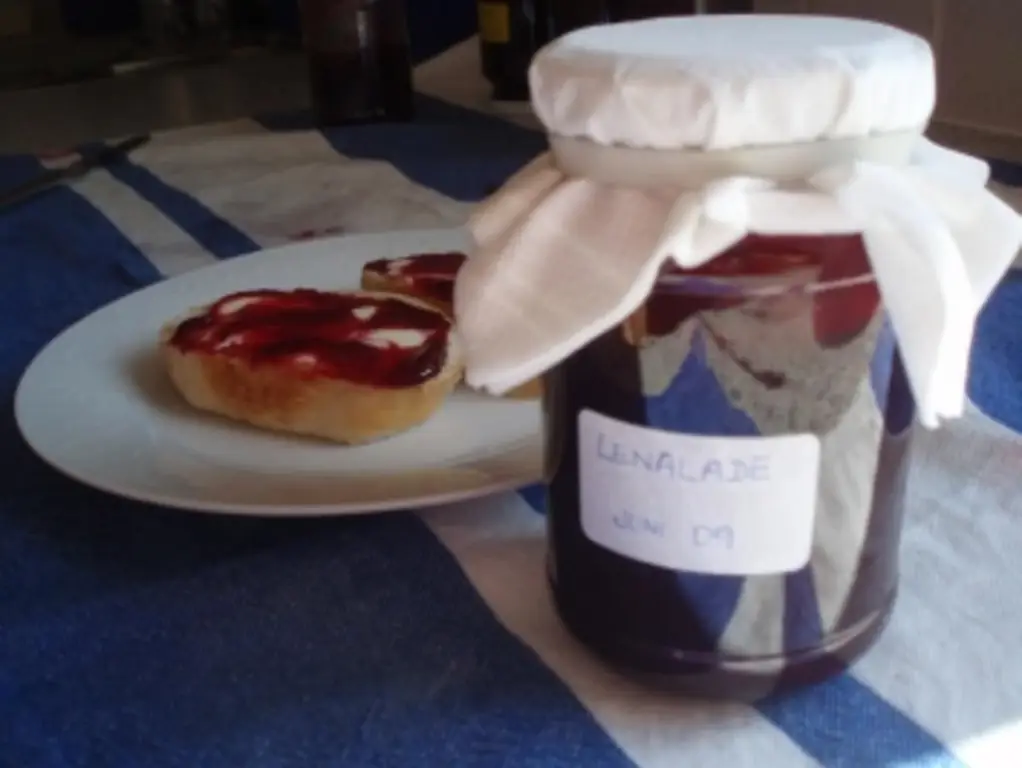 Леналад Клубничный