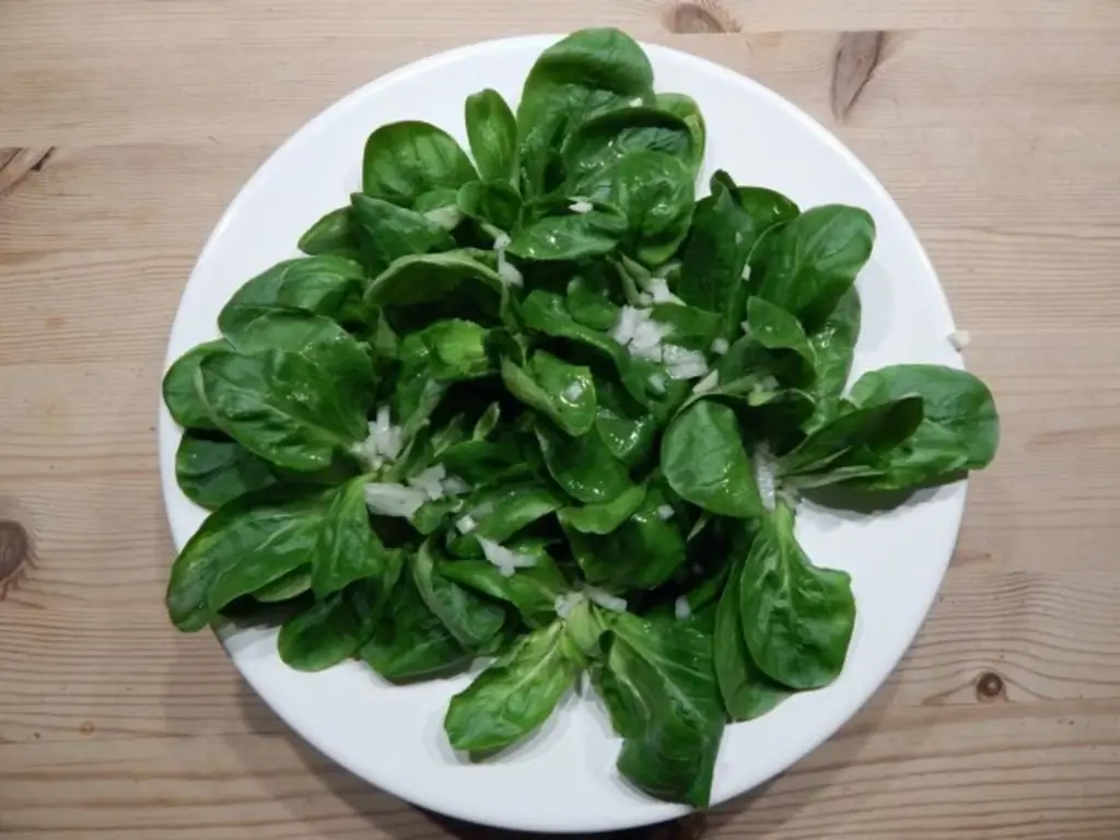 Салат из баранины с уксусом