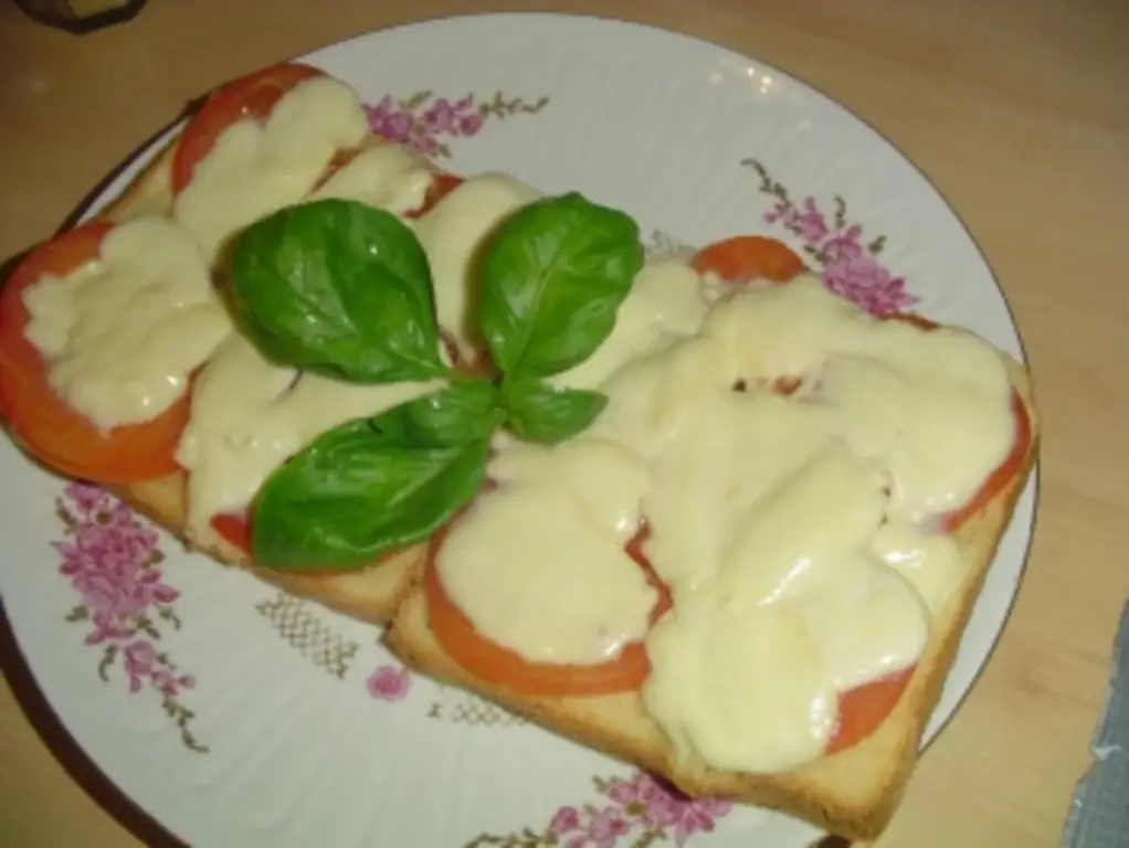Тост с помидорами и моцареллой