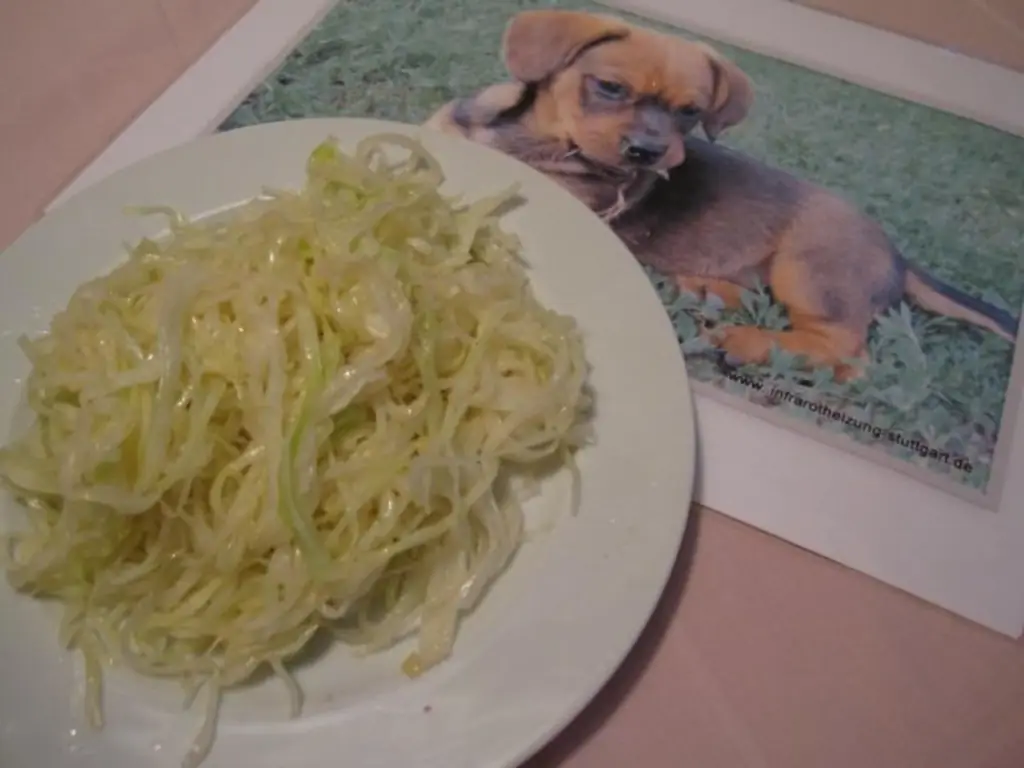 Коулслоу по-хорватски