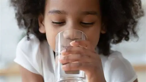 Молодая черная девушка выпивает стакан воды