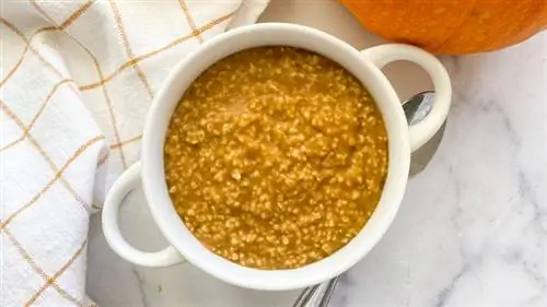 овсянка в миске