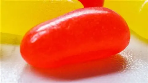 Что нужно знать о Red Dye 40