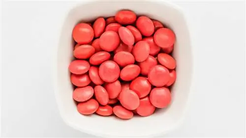 Чаша, полная красных конфет, которые Чаша, полная красных конфет, которые