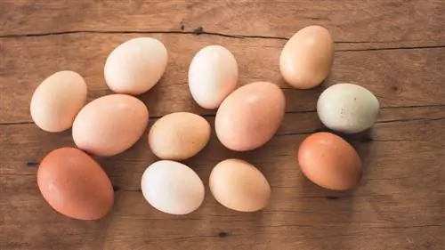 Яйца разного размера
