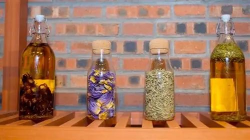 Экстракты вкуса