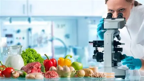 Пищевая лаборатория