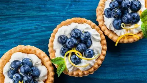 мини пирожки с черникой мини пирожки с черникой