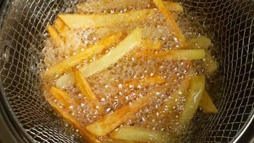 картофельный компьютер для картофеля фри