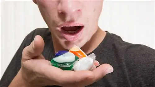 Мужчина держит пищевое испытание Tide Pods Мужчина держит пищевое испытание Tide Pods