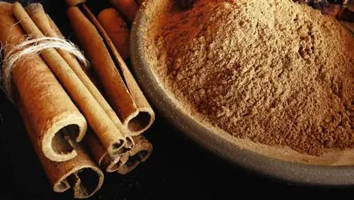 Палочки корицы и молотая корица Палочки корицы и молотая корица