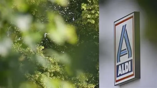 альди