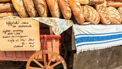 братья альди начинали с тележки для хлеба
