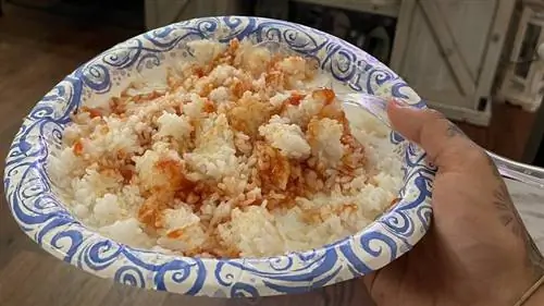 Белый рис с кетчупом Белый рис с кетчупом